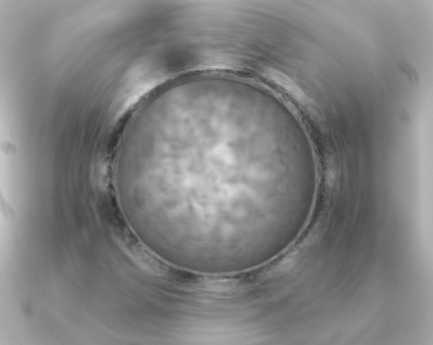 X0000091201258200708091301