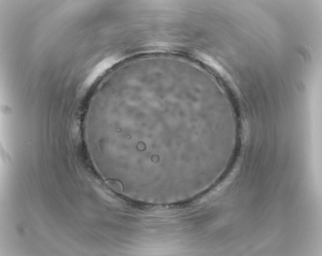 X0000091201259200708091301