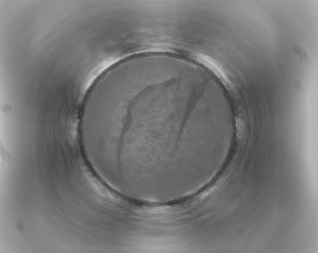 X0000091201260200708091301