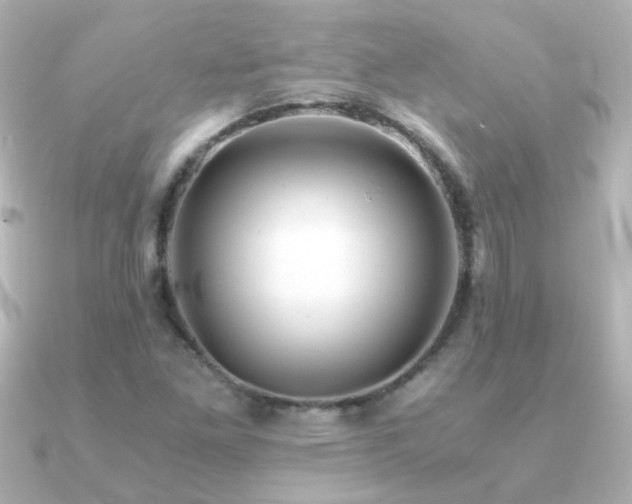 X0000091201261200708091301
