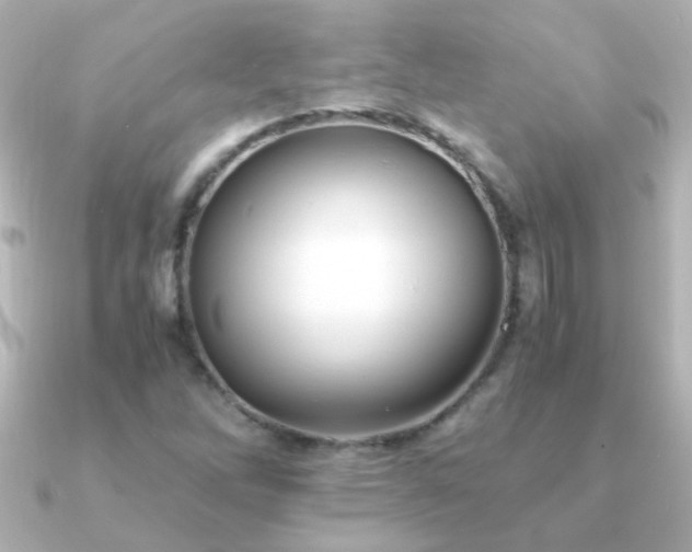 X0000091201262200708091301