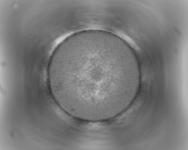 X0000091201264200708091301
