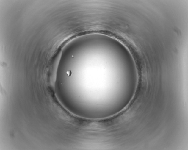 X0000091201265200708091301