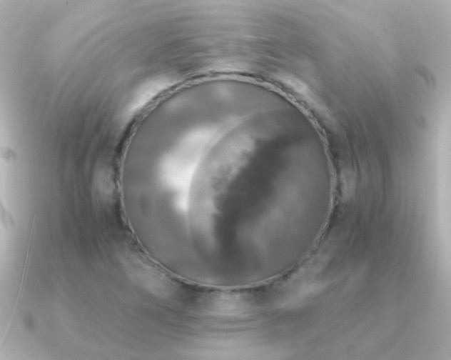 X0000091201266200708091301