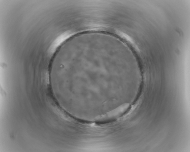 X0000091201267200708091301