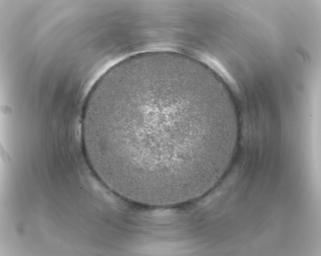 X0000091201268200708091301