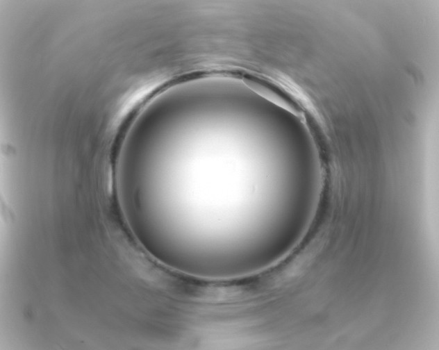 X0000091201269200708091301