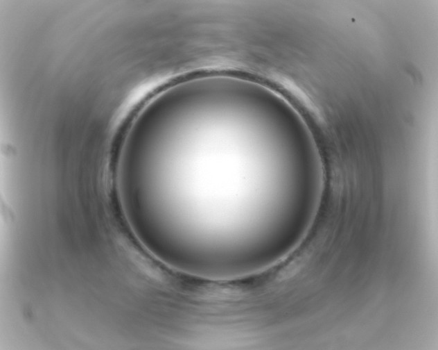 X0000091201270200708091301