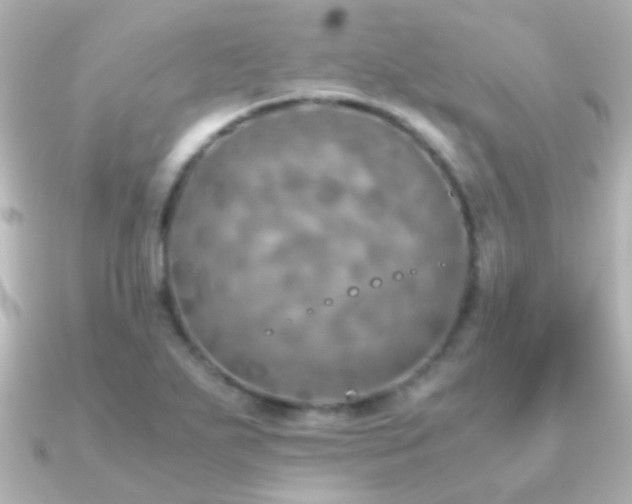 X0000091201271200708091300