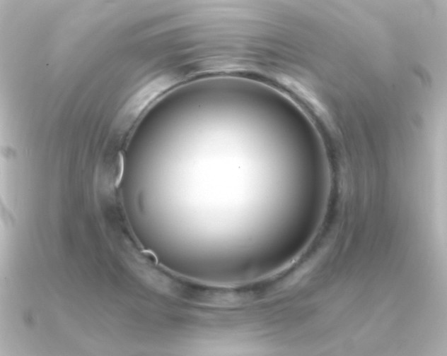 X0000091201273200708091300