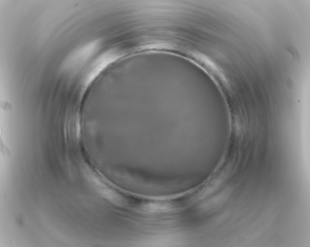 X0000091201274200708091300