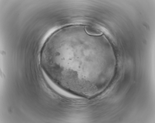 X0000091201275200708091300