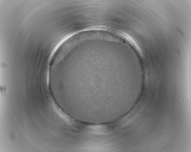 X0000091201276200708091300