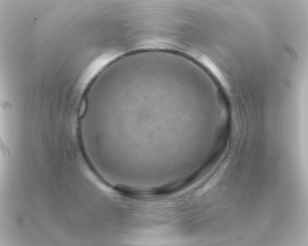 X0000091201277200708091300