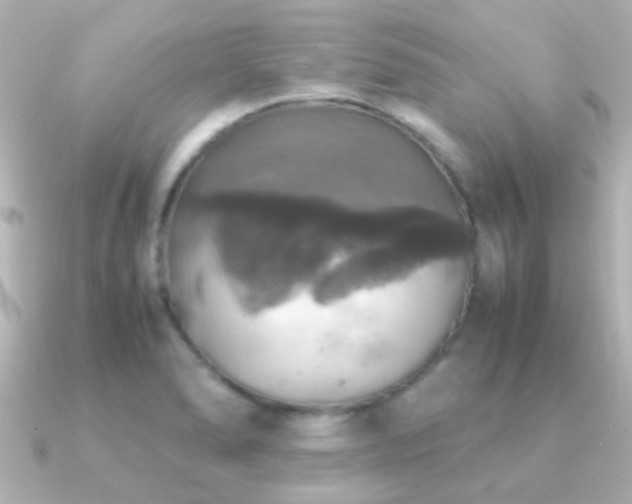 X0000091201278200708091300