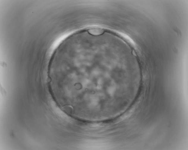 X0000091201279200708091300