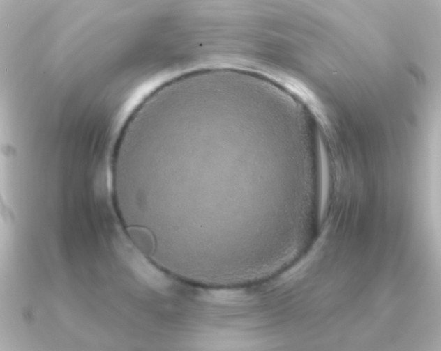 X0000091201280200708091300