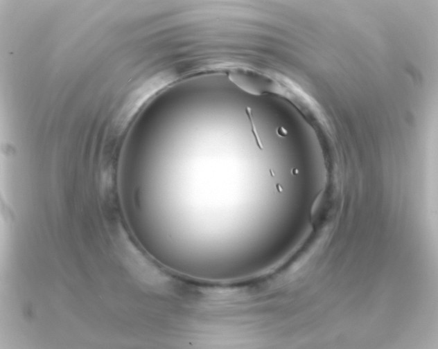 X0000091201281200708091300