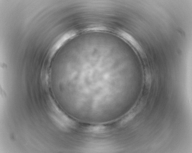 X0000091201282200708091300