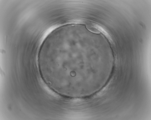 X0000091201283200708091300