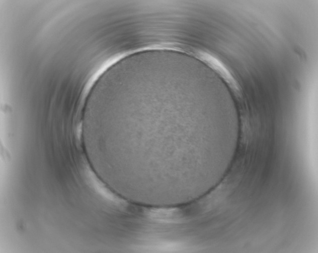 X0000091201284200708091300