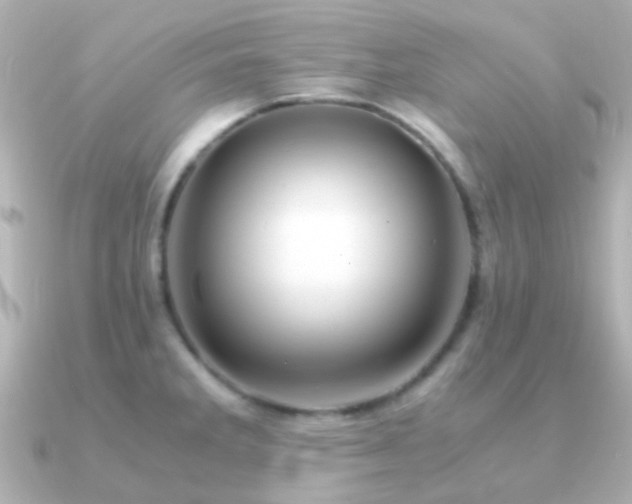 X0000091201285200708091300