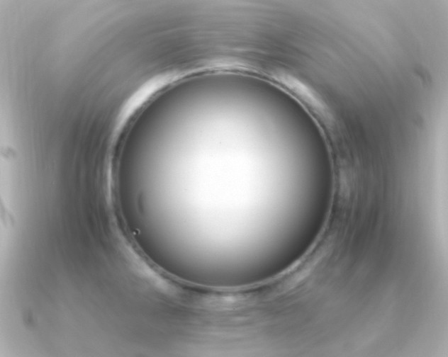 X0000091201286200708091300