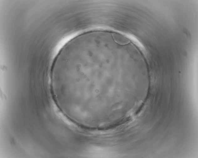 X0000091201287200708091300