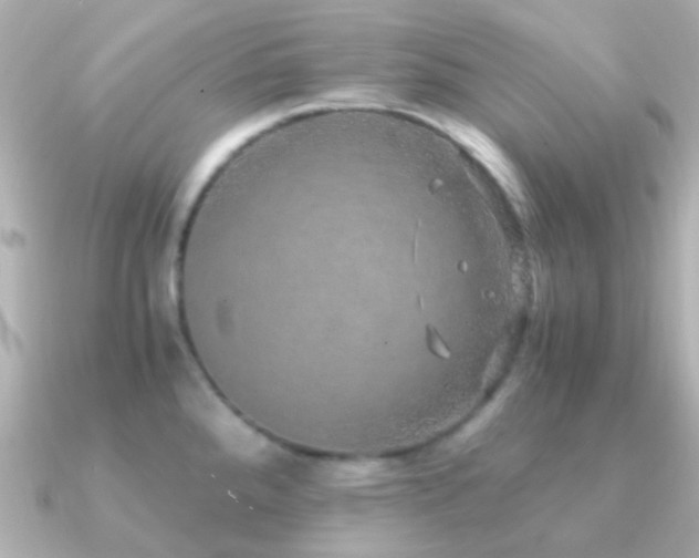 X0000091201288200708091300