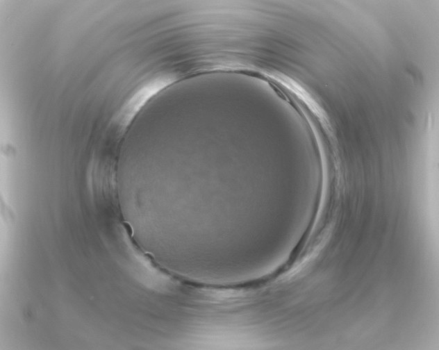 X0000091201289200708091300