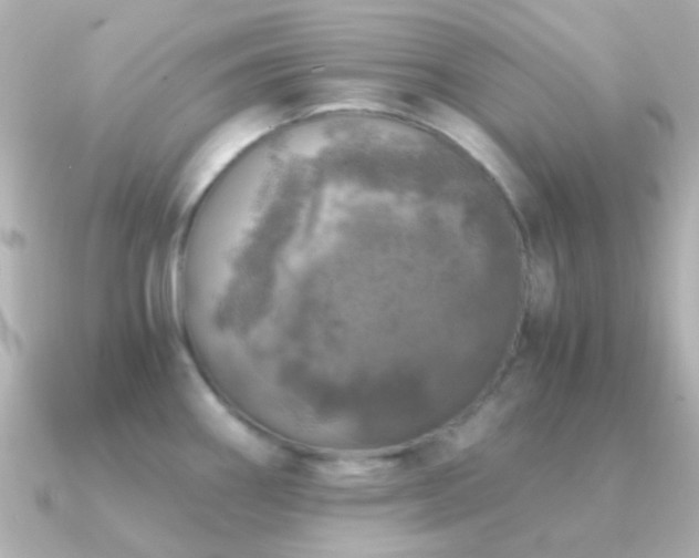 X0000091201290200708091300