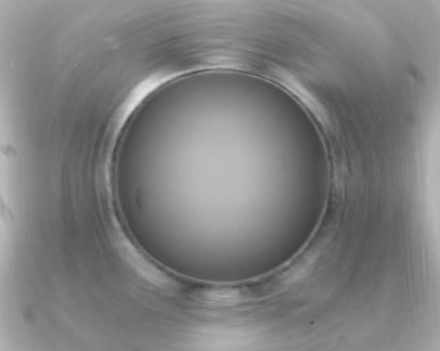 X0000091201291200708091300