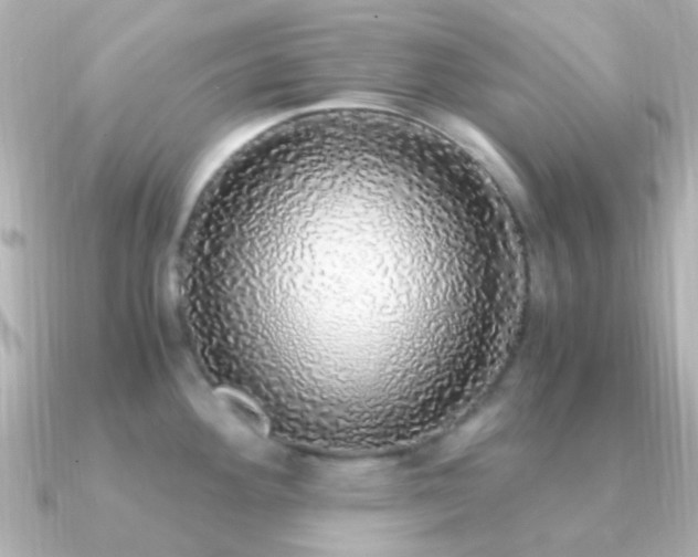 X0000091201292200708091300