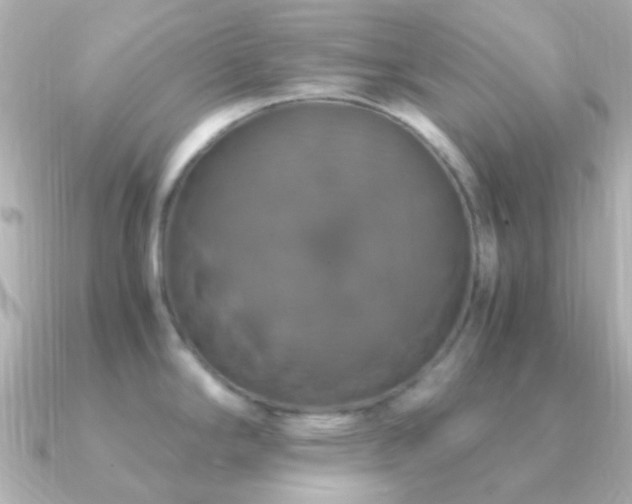 X0000091201294200708091300