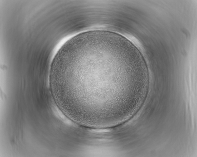 X0000091201296200708091300