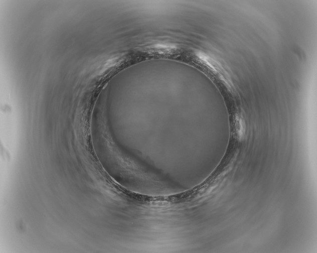 X0000091201297200708091300