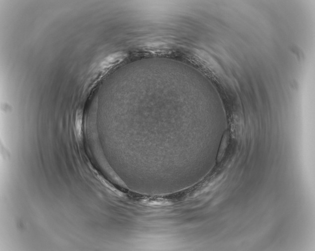 X0000091201298200708091300