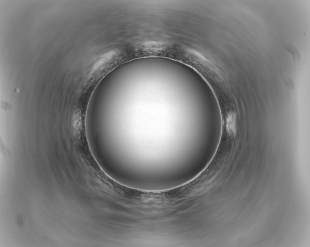 X0000091201299200708091300
