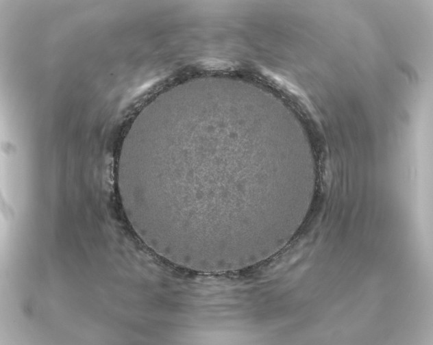 X0000091201301200708091300