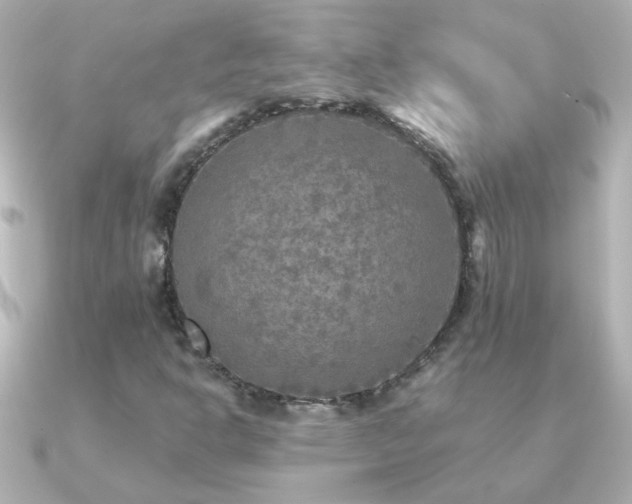 X0000091201302200708091300