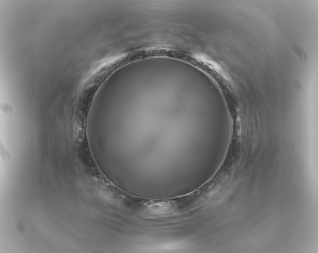 X0000091201303200708091300