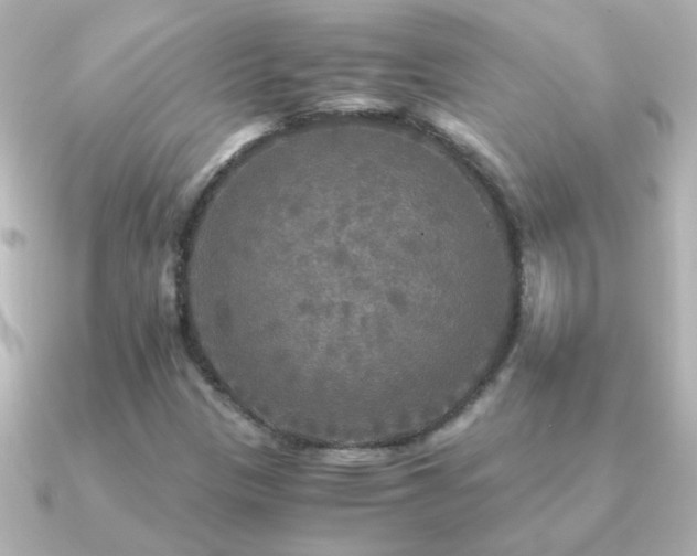 X0000091201305200708091300