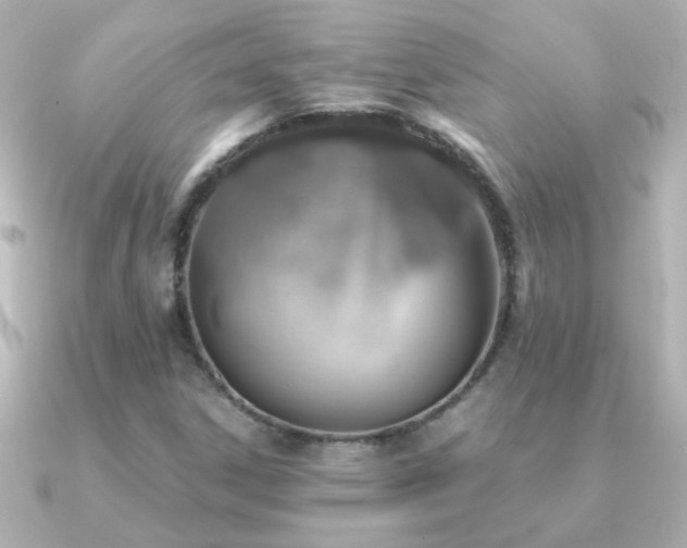 X0000091201306200708091300