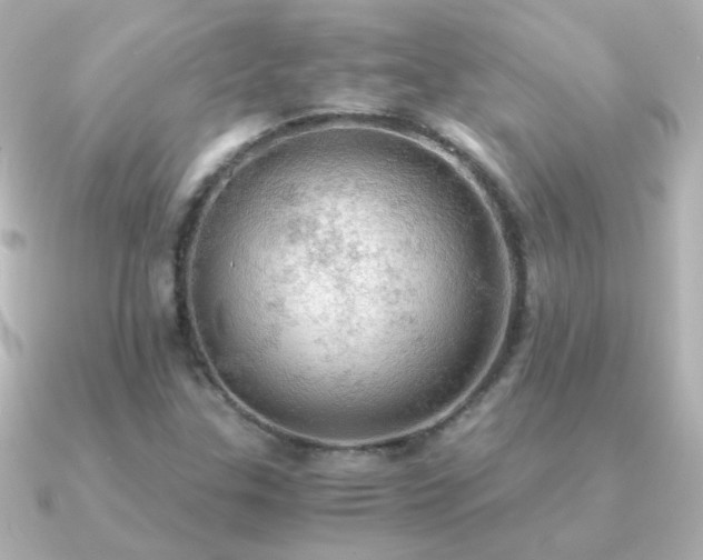 X0000091201307200708091300