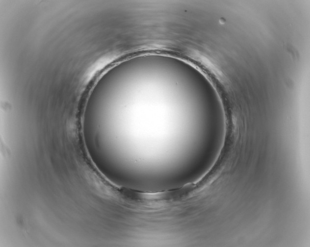 X0000091201308200708091300