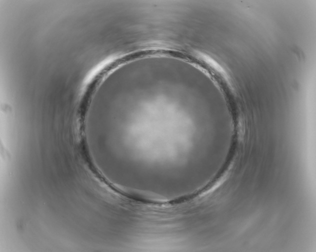 X0000091201310200708091300