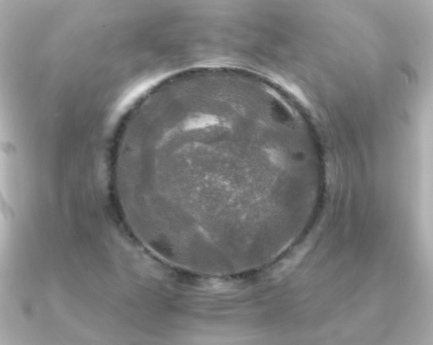 X0000091201311200708091300