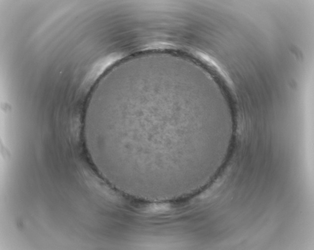 X0000091201313200708091300