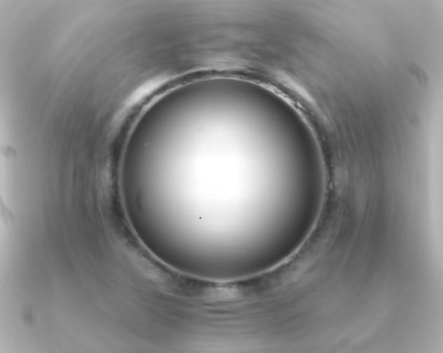 X0000091201315200708091300