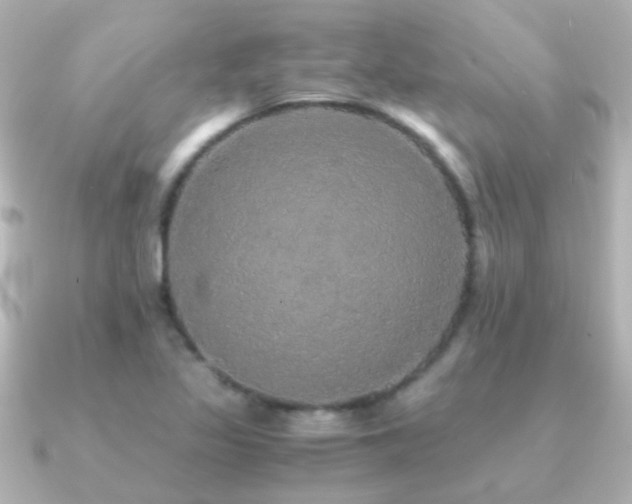 X0000091201317200708091300